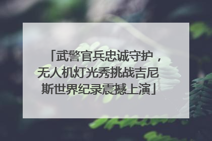 武警官兵忠诚守护，无人机灯光秀挑战吉尼斯世界纪录震撼上演